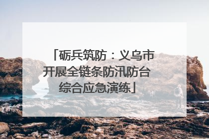 砺兵筑防：义乌市开展全链条防汛防台综合应急演练