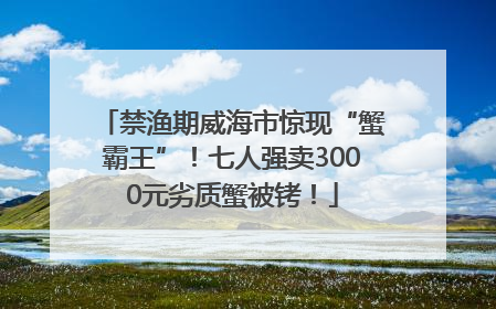 禁渔期威海市惊现“蟹霸王”！七人强卖3000元劣质蟹被铐！