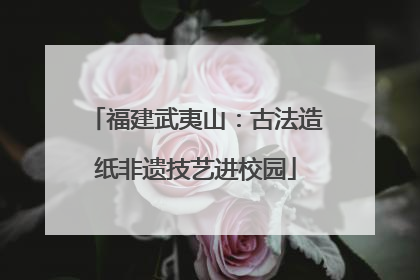 福建武夷山：古法造纸非遗技艺进校园