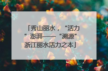 秀山丽水，“活力”澎湃——“溯源”浙江丽水活力之本