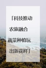 科技推动农旅融合 蔬菜种植玩出新花样