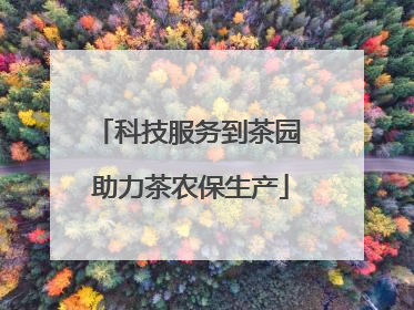 科技服务到茶园 助力茶农保生产