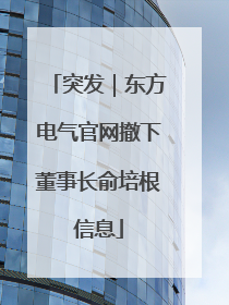 突发｜东方电气官网撤下董事长俞培根信息