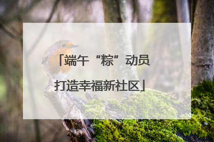 端午“粽”动员 打造幸福新社区