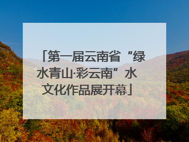 第一届云南省“绿水青山·彩云南”水文化作品展开幕
