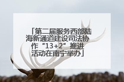 第二届服务西部陆海新通道建设司法协作“13+2”推进活动在南宁举办