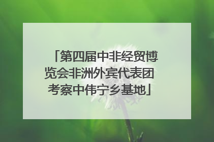 第四届中非经贸博览会非洲外宾代表团考察中伟宁乡基地