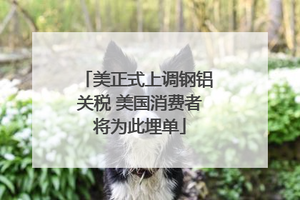 美正式上调钢铝关税 美国消费者将为此埋单