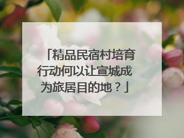 精品民宿村培育行动何以让宣城成为旅居目的地？