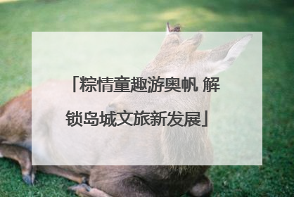 粽情童趣游奥帆 解锁岛城文旅新发展