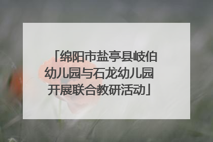 绵阳市盐亭县岐伯幼儿园与石龙幼儿园开展联合教研活动