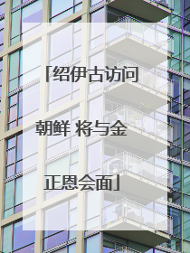 绍伊古访问朝鲜 将与金正恩会面