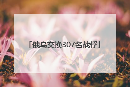 俄乌交换307名战俘