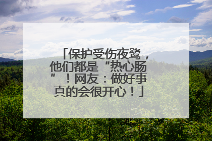 保护受伤夜鹭，他们都是“热心肠”！网友：做好事真的会很开心！