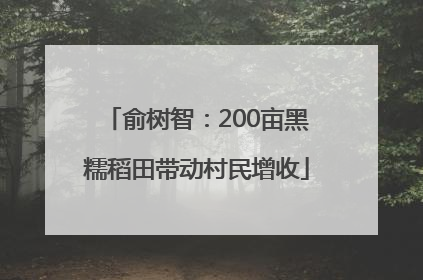 俞树智：200亩黑糯稻田带动村民增收