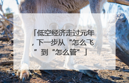低空经济走过元年，下一步从“怎么飞”到“怎么管”