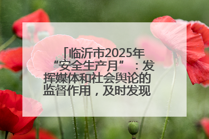 临沂市2025年“安全生产月”：发挥媒体和社会舆论的监督作用，及时发现并消除安全隐患