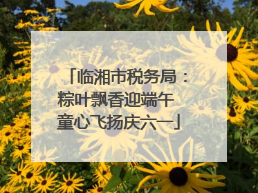临湘市税务局：粽叶飘香迎端午 童心飞扬庆六一