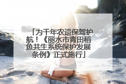 为千年农遗保驾护航！《丽水市青田稻鱼共生系统保护发展条例》正式施行