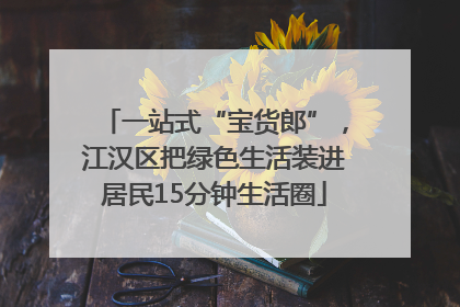 一站式“宝货郎”，江汉区把绿色生活装进居民15分钟生活圈