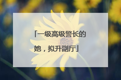 一级高级警长的她，拟升副厅