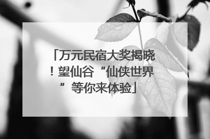 万元民宿大奖揭晓！望仙谷“仙侠世界”等你来体验