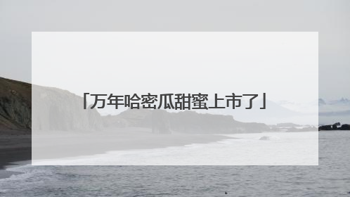 万年哈密瓜甜蜜上市了