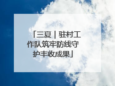 三夏｜驻村工作队筑牢防线守护丰收成果