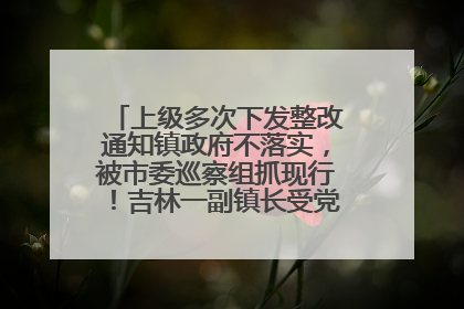 上级多次下发整改通知镇政府不落实，被市委巡察组抓现行！吉林一副镇长受党内警告处分