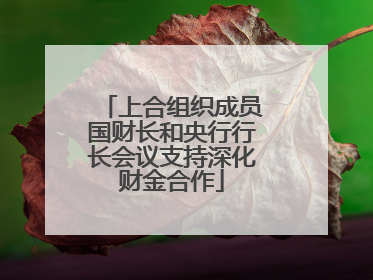 上合组织成员国财长和央行行长会议支持深化财金合作