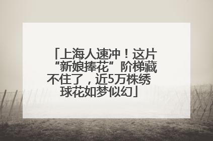 上海人速冲！这片“新娘捧花”阶梯藏不住了，近5万株绣球花如梦似幻