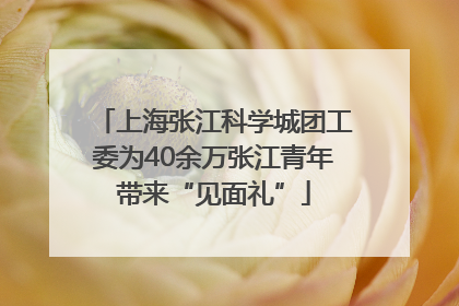 上海张江科学城团工委为40余万张江青年带来“见面礼”
