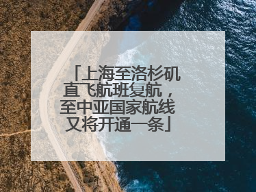 上海至洛杉矶直飞航班复航，至中亚国家航线又将开通一条