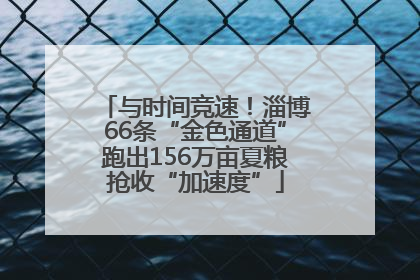 与时间竞速！淄博66条“金色通道”跑出156万亩夏粮抢收“加速度”