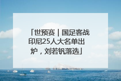 世预赛｜国足客战印尼25人大名单出炉，刘若钒落选