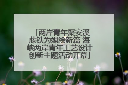 两岸青年聚安溪 藤铁为媒绘新篇 海峡两岸青年工艺设计创新主题活动开幕