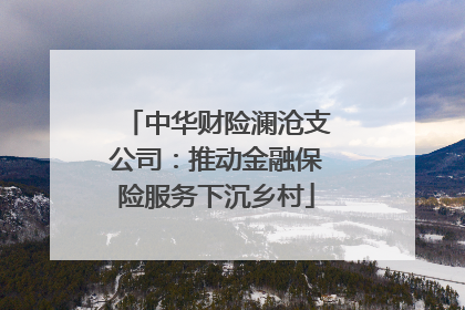 中华财险澜沧支公司：推动金融保险服务下沉乡村