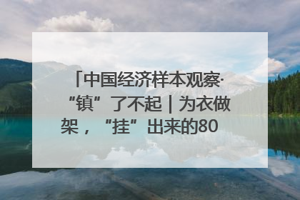 中国经济样本观察·“镇”了不起｜为衣做架，“挂”出来的80亿元“衣架产业”