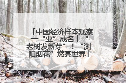 中国经济样本观察·一“业”成名丨“老树发新芽”！“浏阳烟花”燃亮世界