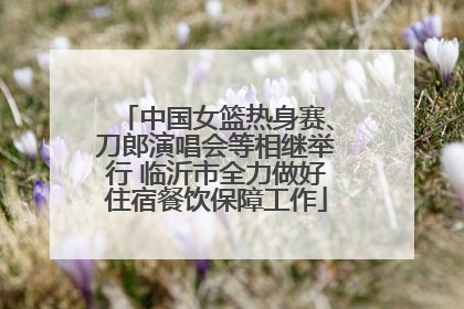 中国女篮热身赛、刀郎演唱会等相继举行 临沂市全力做好住宿餐饮保障工作