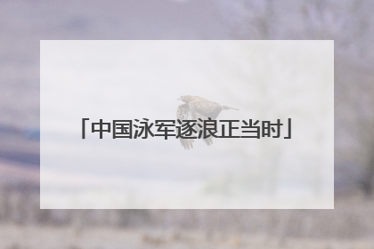 中国泳军逐浪正当时