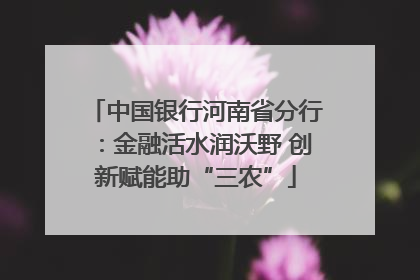 中国银行河南省分行：金融活水润沃野 创新赋能助“三农”