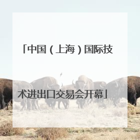 中国（上海）国际技术进出口交易会开幕