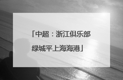 中超：浙江俱乐部绿城平上海海港