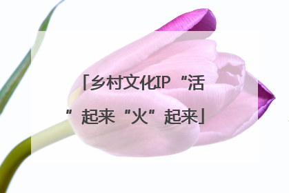 乡村文化IP“活”起来“火”起来