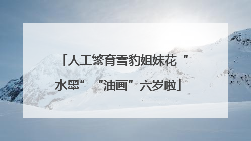人工繁育雪豹姐妹花“水墨”“油画”六岁啦