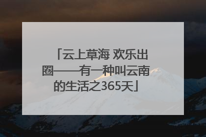 云上草海 欢乐出圈——有一种叫云南的生活之365天