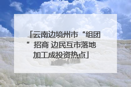 云南边境州市“组团”招商 边民互市落地加工成投资热点