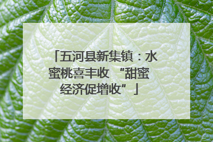 五河县新集镇：水蜜桃喜丰收 “甜蜜经济促增收”