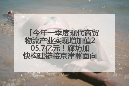 今年一季度现代商贸物流产业实现增加值205.7亿元！廊坊加快构建链接京津冀面向全世界的物流通道